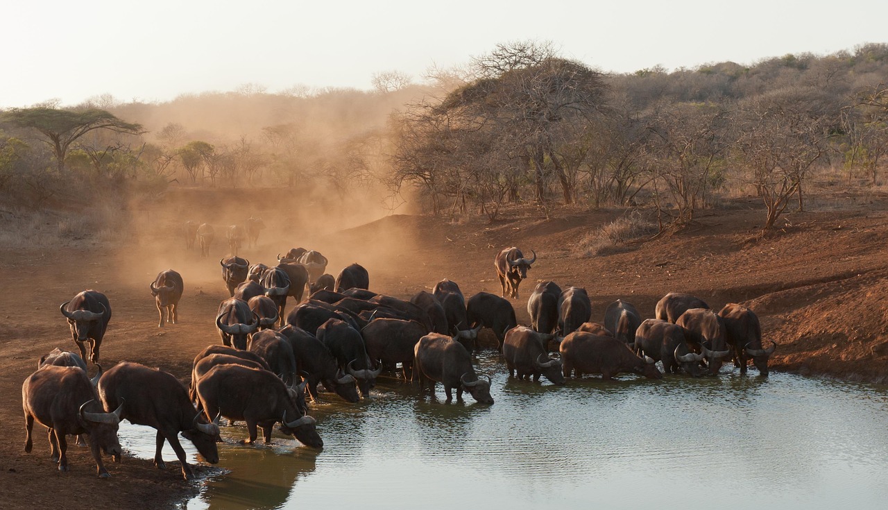 South Africa national parks