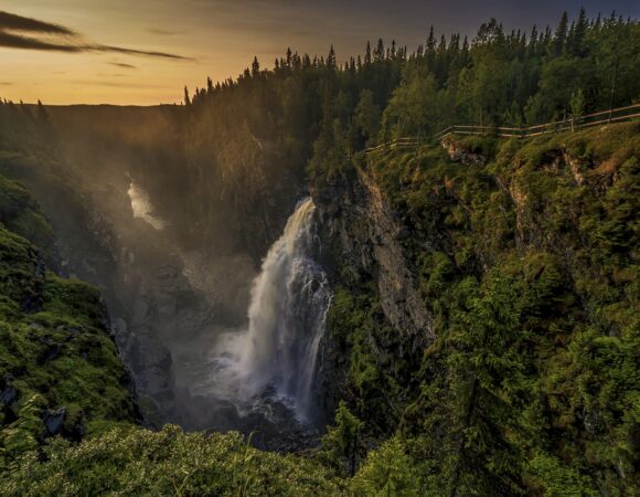 Exploring Sweden’s Natural Beauty: Top 8 National Parks You Can’t Miss