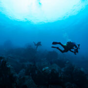 Destinations to Go Scuba Diving in India