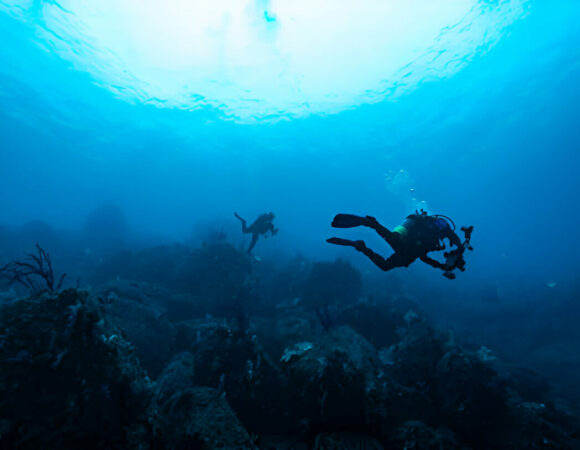 7 Best Places and Destinations to Go Scuba Diving in India