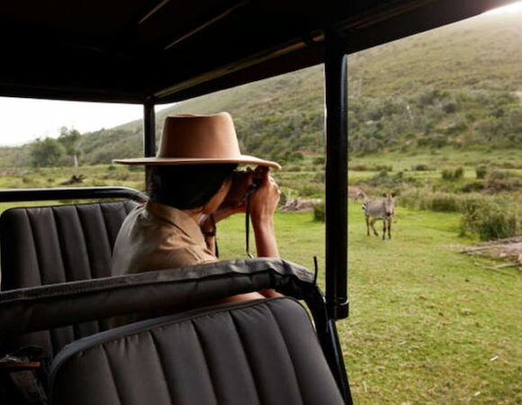 Family-Friendly Destinations in South Africa for 2025 Vacations