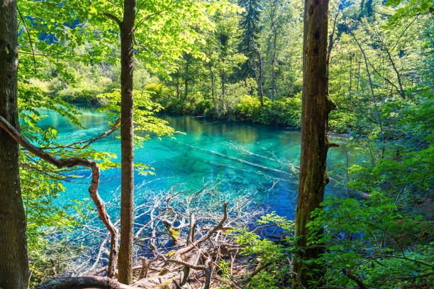 Best National Parks in Estonia for Nature Lovers