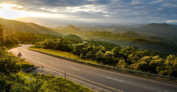 Exploring South Africa on Safari
