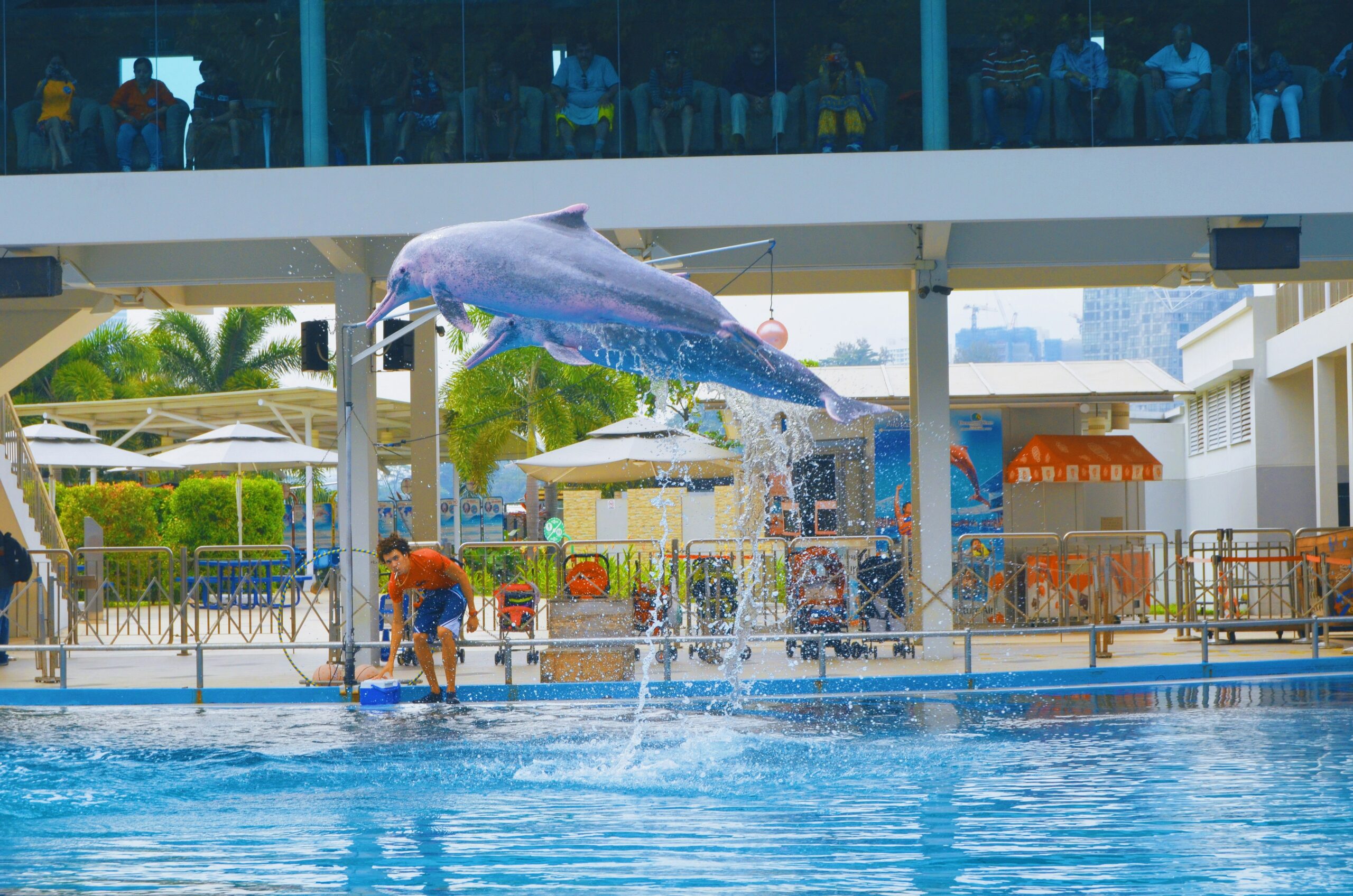 Best Places to Stay Near Wild Wadi for Waterpark Lovers 