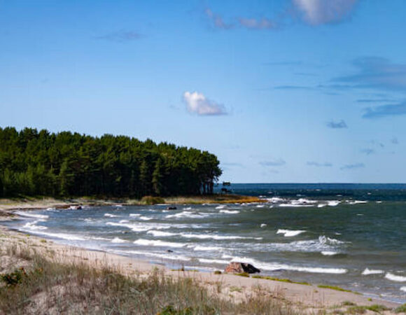 Discovering Estonia Baltic Shores: Scenic Beaches and Dramatic Cliffs 